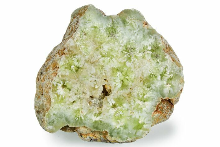 Wide Polished Prehnite Section - Australia #353728